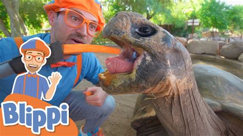 Blippi Visits a Zoo! | Learn About Animals For Kids | Educational ...