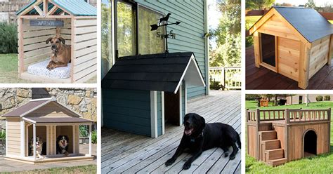 Extra Large Dog House Plans With Porch - House Design Ideas