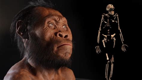 New Human Ancestor Discovered: Homo naledi (EXCLUSIVE VIDEO)