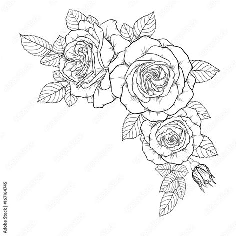 beautiful black and white bouquet rose and leaves. Floral arrangement ...