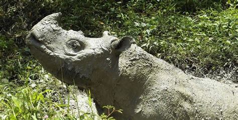 “Operation Sumatran Rhino: Mission Critical” – a Nat Geo Wild ...