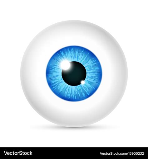 Realistic human eyeball Royalty Free Vector Image