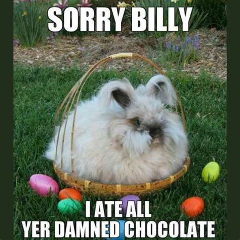 50+ Funny Easter Bunny Memes 2024 To Make Anyone Hop with Laughter