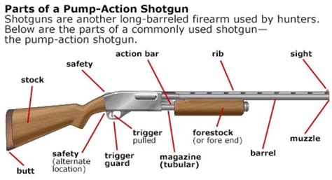 Oh so wonderful... Pump action shotgun | ALL WEAPONS ⚔️ | Pinterest ...