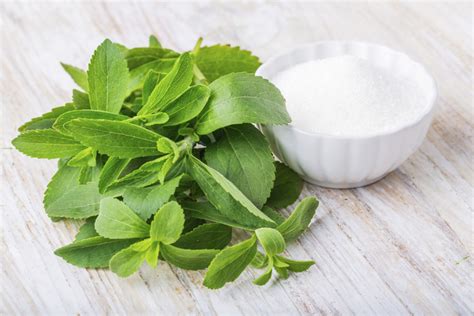 Stevia Health Benefits and Facts