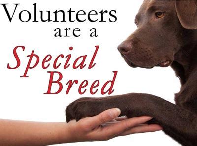 Volunteers - HUMANE SOCIETY Of the BVI