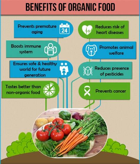 Benefits of organic food - Graduate Farmer Limited