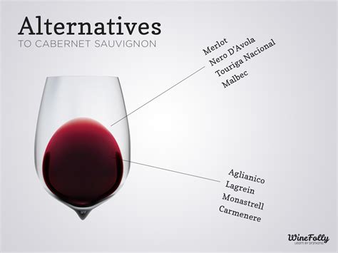 8 Delicious Alternatives to Cabernet Sauvignon | Wine Folly