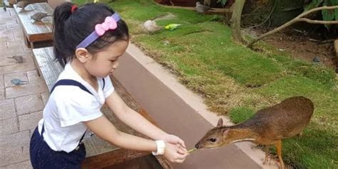 Langkawi Wildlife Park Tickets 2024 | Book TicketsToDo Online