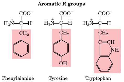 Science Scoop with Neha: AMINOACIDS, STRUCTURE AND CLASSIFICATION