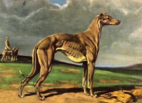 Greyhound - Dog Art Print - Megargee MATTED | eBay