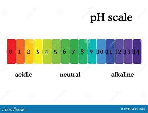 PH Scale Diagram with Corresponding Acidic or Alcaline Values ...