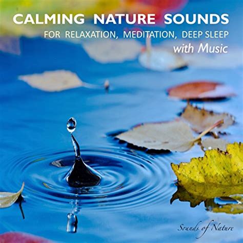 Calming Nature Sounds With Music by Yella A. Deeken - Audiobook ...