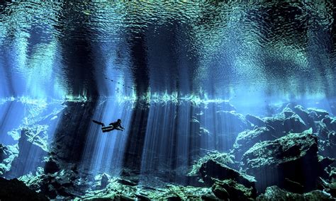 Mesmerising winners of the underwater photography awards