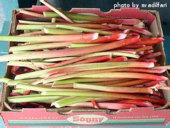 Rhubarb Varieties