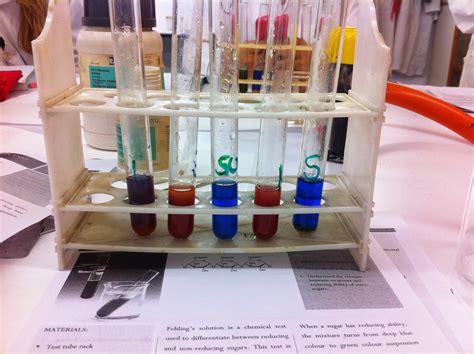 LAB SCIENCE: L6. FEHLING'S TEST: REDUCING SUGARS