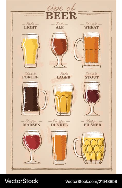 Beer types a visual guide to types of beer Vector Image