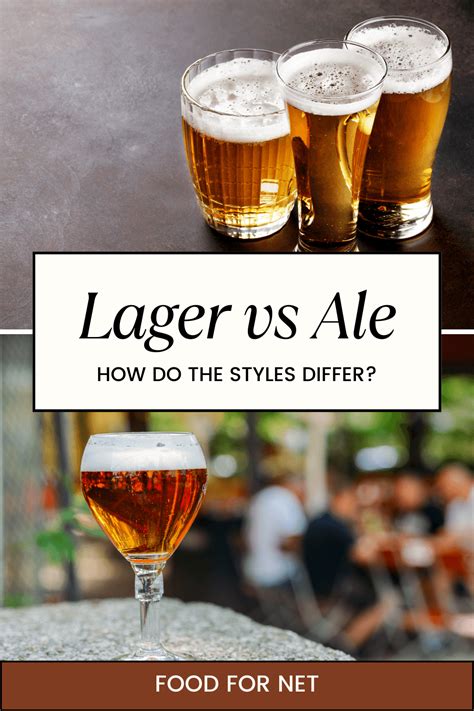 Lager Vs Ale: How Do The Styles Differ? | Food For Net