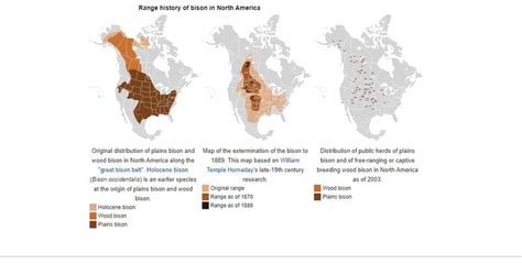 Range of the N. American Bison over the Years. | American bison ...