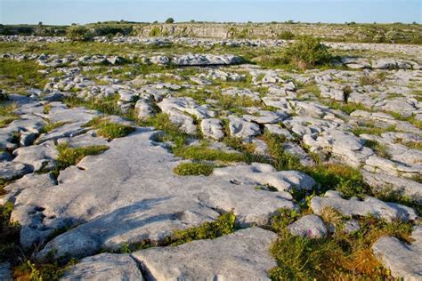 7 Reasons to Visit The Burren National Park I WIld Rover Tours