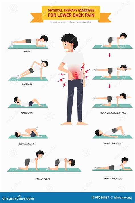 Physical Therapy Exercises for Lower Back Pain Infographic Stock Vector ...