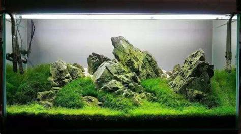 How to make a Japanese-style aquarium