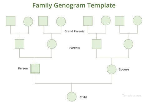 Family Genogram Template in Microsoft Word | Template.net