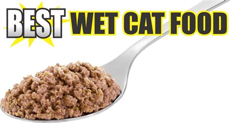 Best Wet Cat Food Brands - Cat Mania