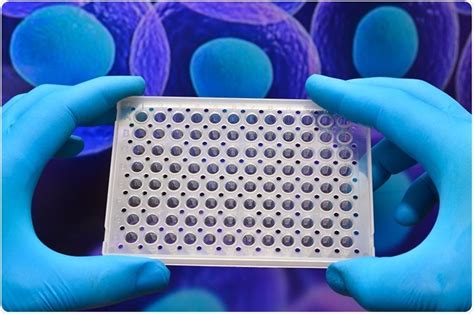 Protein Microarray Applications