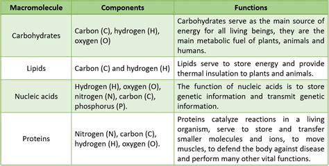 Macromolecules Carbohydrates