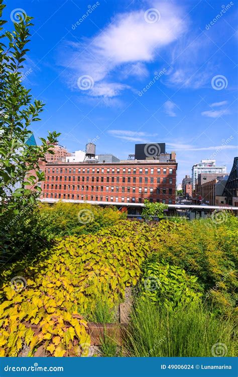 High Line Park Manhattan New York US Stock Photo - Image of skyscraper ...