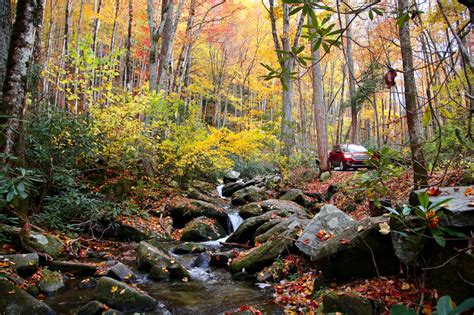 Fall Foliage in the Smoky Mountains – My Bear Foot Cabins