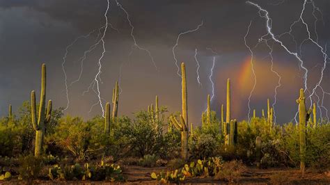 Bing image: The monsoon arrives in the desert - Bing Wallpaper Gallery