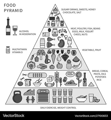 Food pyramid with five levels line monochrome Vector Image