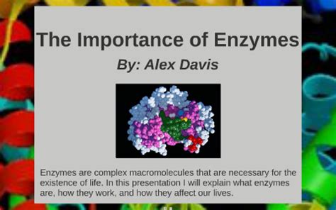 The Importance of Enzymes by Alex Davis on Prezi