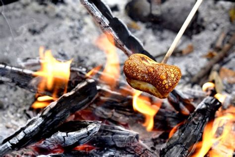 Campfire Recipes: More Taste and Variety For Your Camping Trip