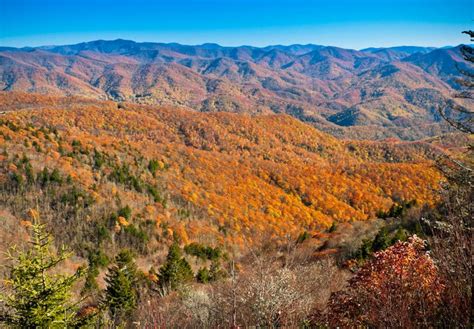 Where to See Fall Colors in North Carolina Smoky Mountains