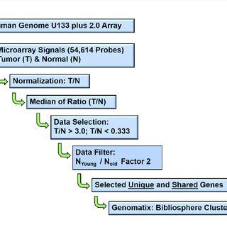 | Schematic diagram: Microarray data analysis workflow. The ...