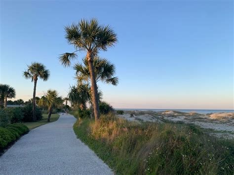 Jekyll Island Beaches | Driftwood Beach, Glory Beach, Great Dunes Beach ...