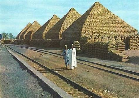 The forgotten groundnut pyramids of Nigeria, the one-time pride of the ...