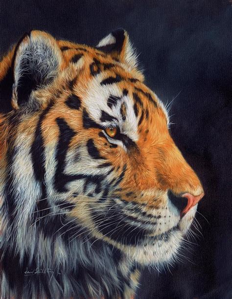 Tiger profile Painting by David Stribbling | Pixels