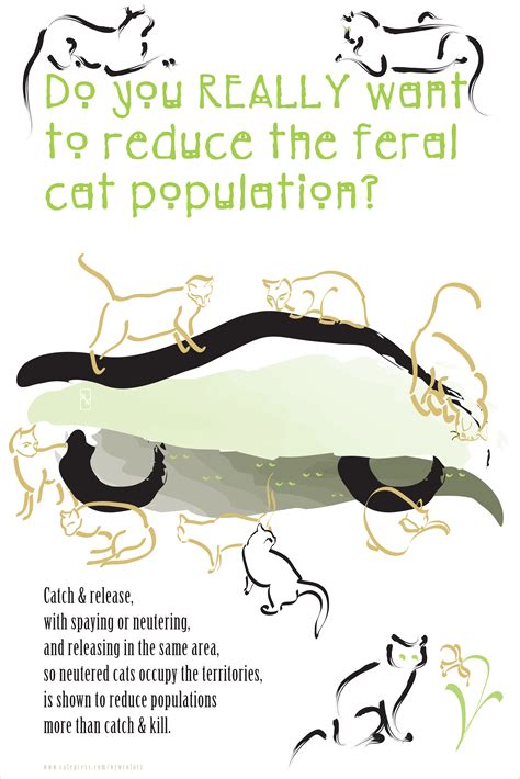 Humanely controlling feral cat populations -- trap, neuter, return (TNR ...