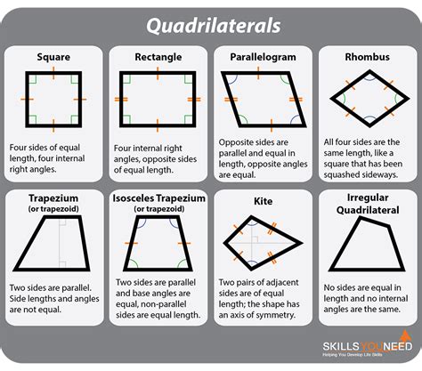 Quadrilaterals | Teaching math strategies, Learning mathematics, Math ...