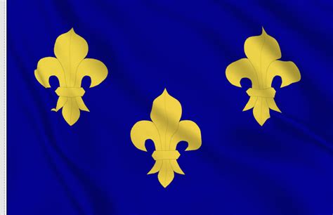 Kingdom of France Flag