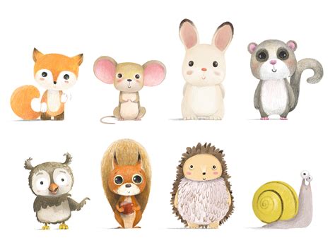 CUTE FOREST ANIMALS on Behance