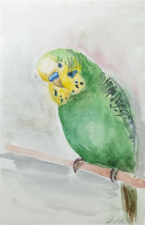 Parrot Watercolor Original Painting Green Parakeet Watercolor | Etsy