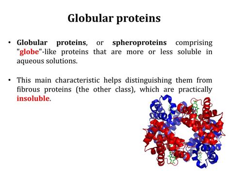 3 Which of the Following Is Characteristic of Globular Proteins ...