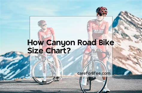 How Canyon Road Bike Size Chart? 2024