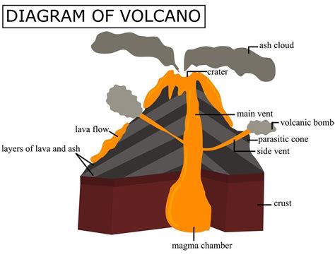 A diagram of a volcano.Cross section of a volcano.Illustration for ...