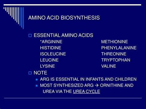 PPT - AMINO ACID BIOSYNTHESIS PowerPoint Presentation - ID:217234